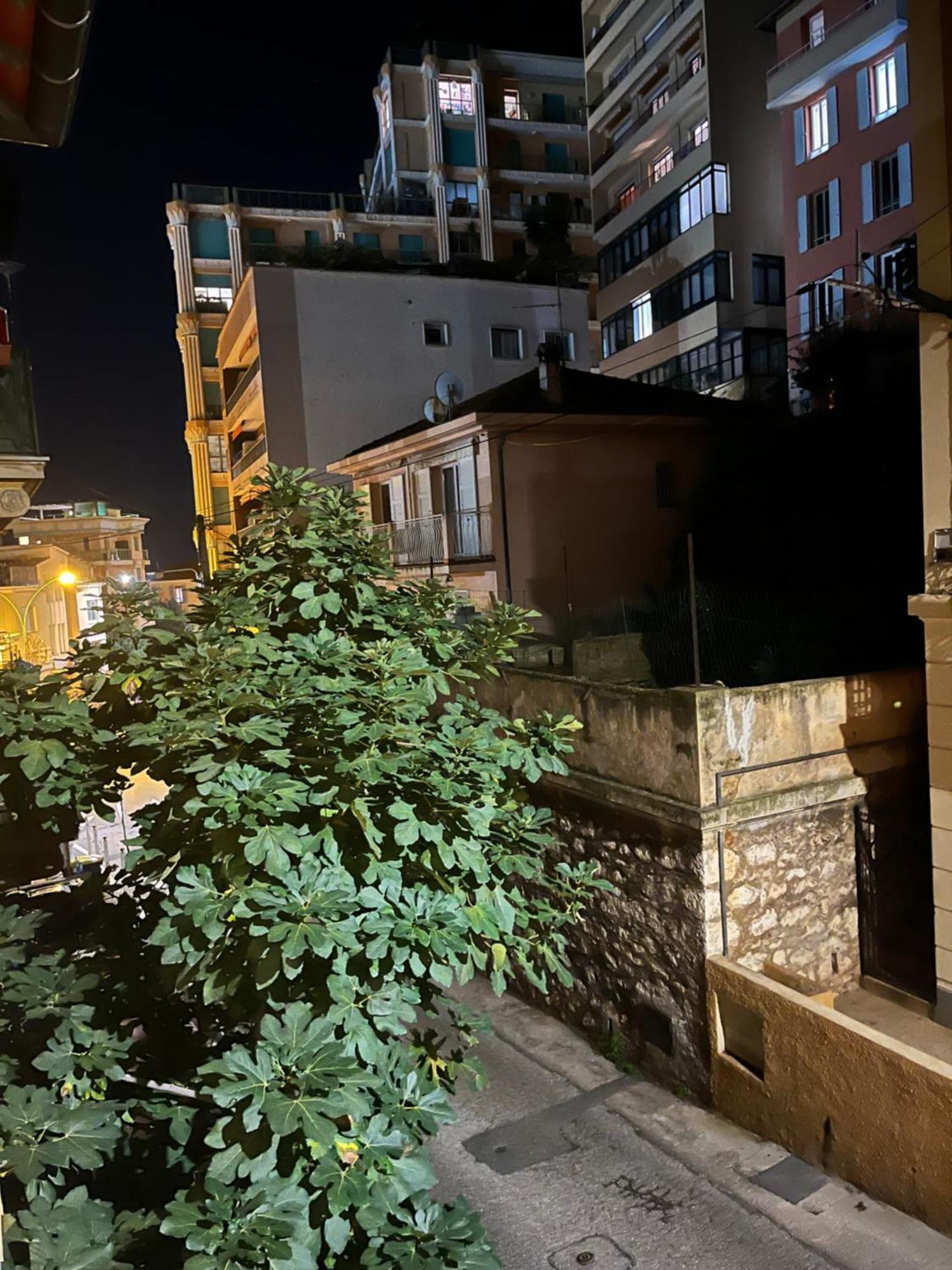 Duplex A La Frontiere De Monaco Apartment Бюсолей Екстериор снимка